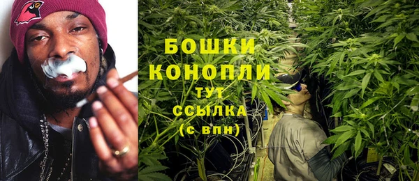 первитин Инта