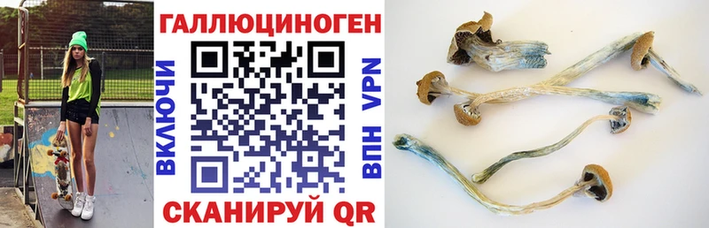 Купить закладки  Галич  Псилоцибиновые грибы мухоморы 